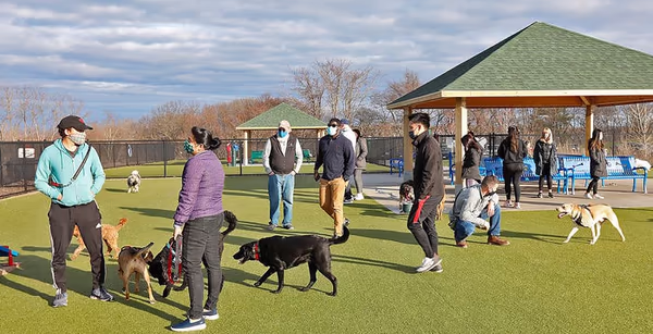 Quincy Dog Park